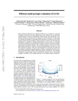 Efficient multi-prompt evaluation of LLMs