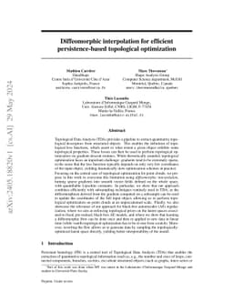 Diffeomorphic interpolation for efficient persistence-based topological
  optimization
