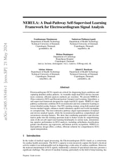 NERULA: A Dual-Pathway Self-Supervised Learning Framework for
  Electrocardiogram Signal Analysis