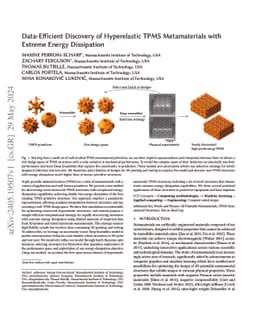 Data-Efficient Discovery of Hyperelastic TPMS Metamaterials with Extreme
  Energy Dissipation
