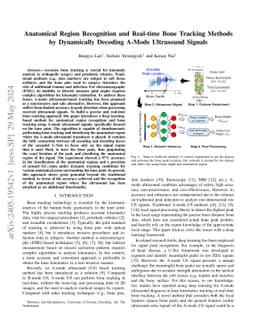 Anatomical Region Recognition and Real-time Bone Tracking Methods by
  Dynamically Decoding A-Mode Ultrasound Signals
