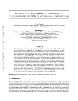 Investigating and unmasking feature-level vulnerabilities of CNNs to
  adversarial perturbations