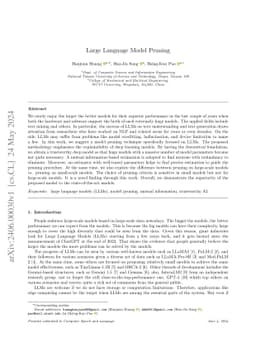 Large Language Model Pruning