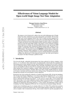 Effectiveness of Vision Language Models for Open-world Single Image Test
  Time Adaptation
