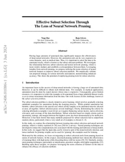 Effective Subset Selection Through The Lens of Neural Network Pruning