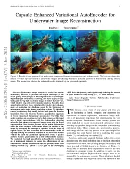 Capsule Enhanced Variational AutoEncoder for Underwater Image
  Reconstruction