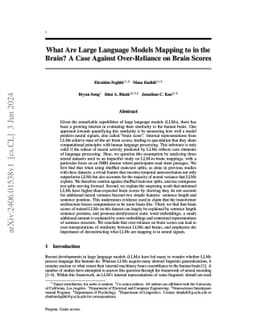 What Are Large Language Models Mapping to in the Brain? A Case Against
  Over-Reliance on Brain Scores