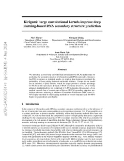 Kirigami: large convolutional kernels improve deep learning-based RNA
  secondary structure prediction