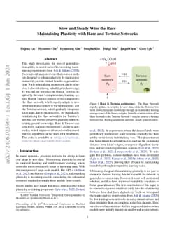 Slow and Steady Wins the Race: Maintaining Plasticity with Hare and Tortoise Networks