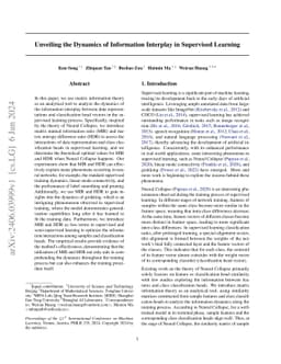 Unveiling the Dynamics of Information Interplay in Supervised Learning