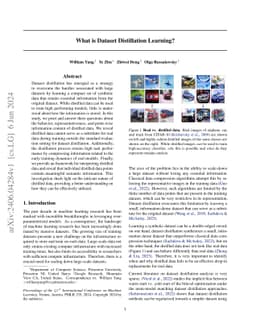 What is Dataset Distillation Learning?