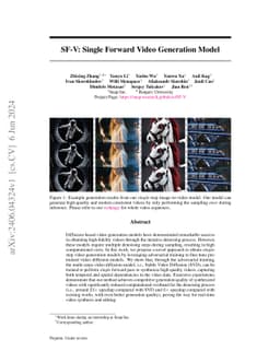 SF-V: Single Forward Video Generation Model