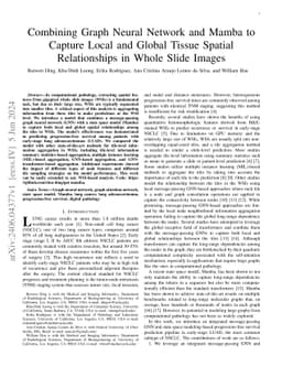 Combining Graph Neural Network and Mamba to Capture Local and Global
  Tissue Spatial Relationships in Whole Slide Images