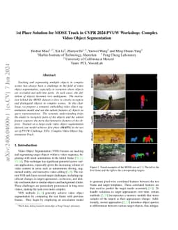1st Place Solution for MOSE Track in CVPR 2024 PVUW Workshop: Complex
  Video Object Segmentation