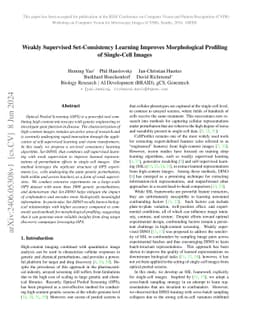 Weakly Supervised Set-Consistency Learning Improves Morphological
  Profiling of Single-Cell Images