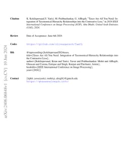Taxes Are All You Need: Integration of Taxonomical Hierarchy
  Relationships into the Contrastive Loss