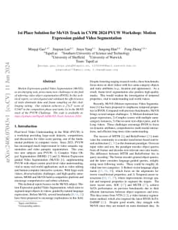 1st Place Solution for MeViS Track in CVPR 2024 PVUW Workshop: Motion
  Expression guided Video Segmentation