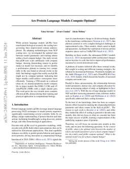 Are Protein Language Models Compute Optimal?
