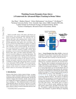 Watching Swarm Dynamics from Above: A Framework for Advanced Object
  Tracking in Drone Videos