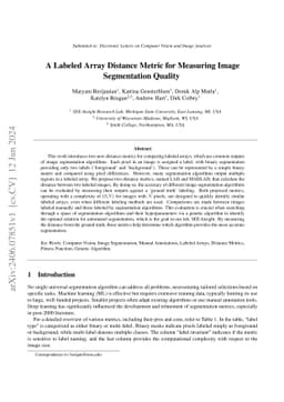 A Labeled Array Distance Metric for Measuring Image Segmentation Quality