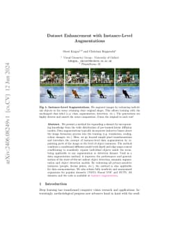 Dataset Enhancement with Instance-Level Augmentations
