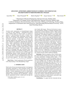 AWGUNET: Attention-Aided Wavelet Guided U-Net for Nuclei Segmentation in
  Histopathology Images