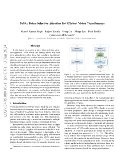 ToSA: Token Selective Attention for Efficient Vision Transformers
