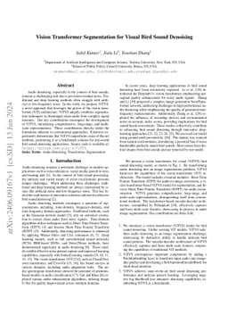Vision Transformer Segmentation for Visual Bird Sound Denoising