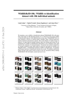 WildlifeReID-10k: Wildlife re-identification dataset with 10k individual animals