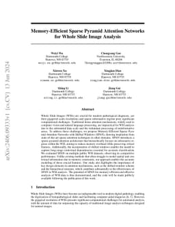 Memory-Efficient Sparse Pyramid Attention Networks for Whole Slide Image
  Analysis