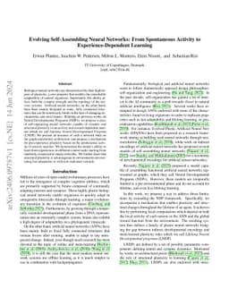 Evolving Self-Assembling Neural Networks: From Spontaneous Activity to
  Experience-Dependent Learning