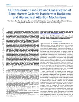 SCKansformer: Fine-Grained Classification of Bone Marrow Cells via
  Kansformer Backbone and Hierarchical Attention Mechanisms