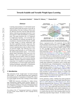 Towards Scalable and Versatile Weight Space Learning