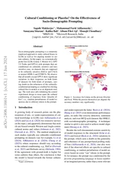 Cultural Conditioning or Placebo? On the Effectiveness of
  Socio-Demographic Prompting