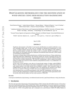Deep Learning methodology for the identification of wood species using
  high-resolution macroscopic images