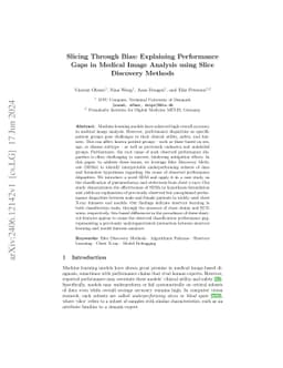 Slicing Through Bias: Explaining Performance Gaps in Medical Image
  Analysis using Slice Discovery Methods
