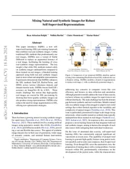 Mixing Natural and Synthetic Images for Robust Self-Supervised
  Representations