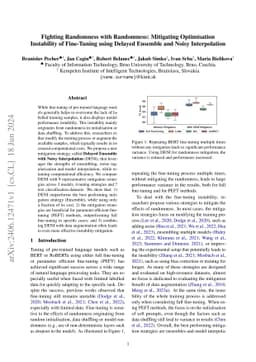 Fighting Randomness with Randomness: Mitigating Optimisation Instability
  of Fine-Tuning using Delayed Ensemble and Noisy Interpolation