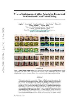 VIA: Unified Spatiotemporal Video Adaptation Framework for Global and Local Video Editing