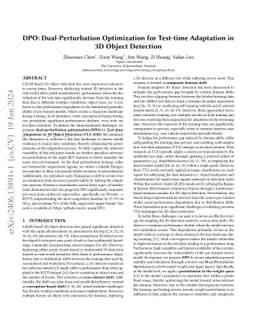 DPO: Dual-Perturbation Optimization for Test-time Adaptation in 3D
  Object Detection