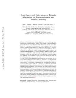 Semi Supervised Heterogeneous Domain Adaptation via Disentanglement and
  Pseudo-Labelling