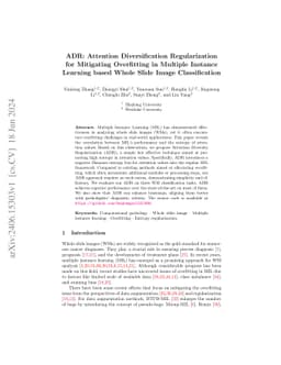 AEM: Attention Entropy Maximization for Multiple Instance Learning based
  Whole Slide Image Classification
