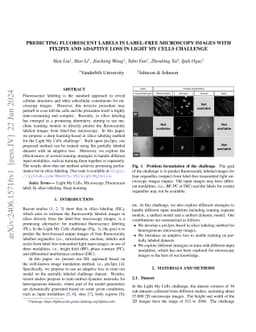 Predicting fluorescent labels in label-free microscopy images with
  pix2pix and adaptive loss in Light My Cells challenge