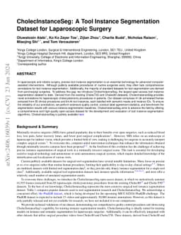 CholecInstanceSeg: A Tool Instance Segmentation Dataset for Laparoscopic Surgery