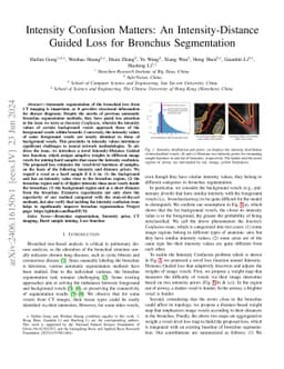 Intensity Confusion Matters: An Intensity-Distance Guided Loss for
  Bronchus Segmentation