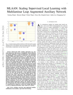MLAAN: Scaling Supervised Local Learning with Multilaminar Leap
  Augmented Auxiliary Network
