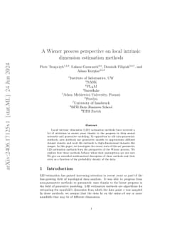 A Wiener process perspective on local intrinsic dimension estimation
  methods