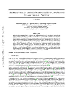 Trimming the Fat: Efficient Compression of 3D Gaussian Splats through
  Pruning