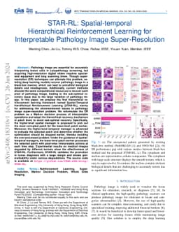 Spatial-temporal Hierarchical Reinforcement Learning for Interpretable
  Pathology Image Super-Resolution