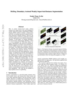 BAISeg: Boundary Assisted Weakly Supervised Instance Segmentation